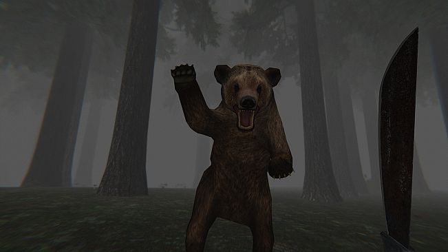 Trapped in the Forest