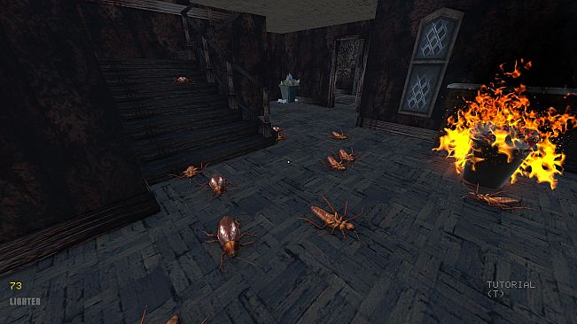 ESCAPE THE NEST