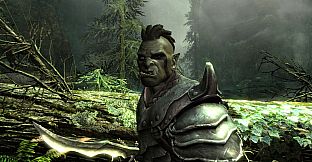 Skyrim: High Resolution Texture Pack (Free DLC)