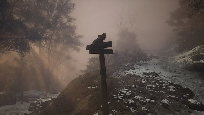 Lushfoil Photography Sim