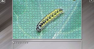 Super Jigsaw Puzzle: Generations - Bugs 2