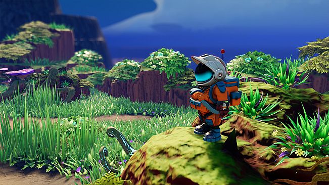 Space for Sale - Supporter Pack