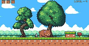 Grizzly Bear is Hungry