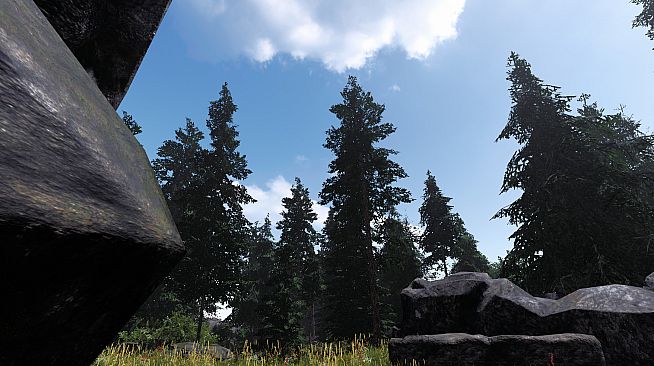 Undergrowth: VR Maze