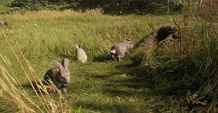 theHunter: Call of the Wild - Free Species: European Rabbit