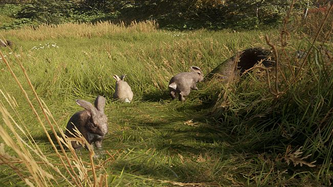theHunter: Call of the Wild - Free Species: European Rabbit