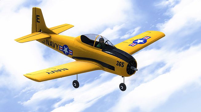 RealFlight Evolution