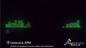 Immersive APM