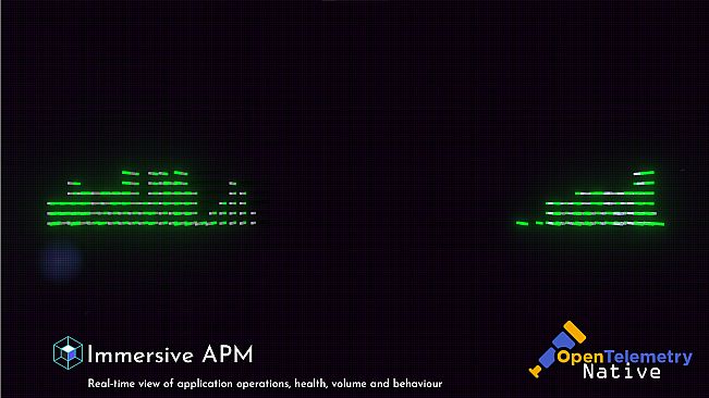 Immersive APM