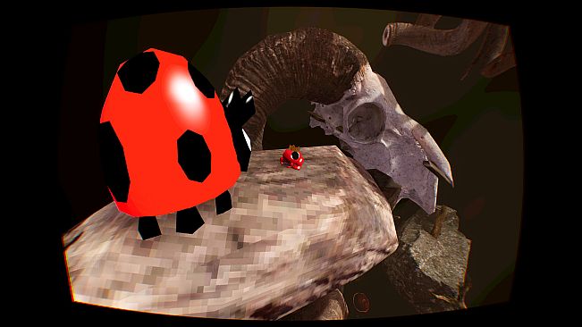 Grenouilles 3D