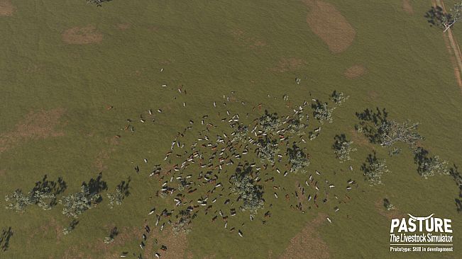 Pasture: The Livestock Simulator
