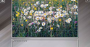 Super Jigsaw Puzzle: Generations - Flowers 2