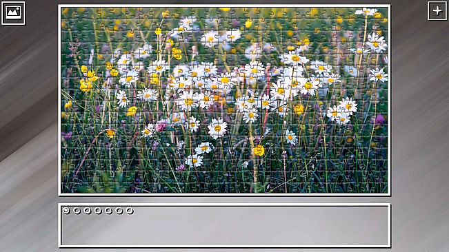 Super Jigsaw Puzzle: Generations - Flowers 2