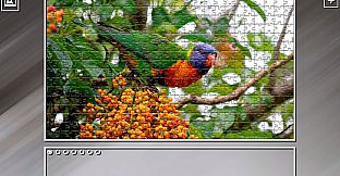 Super Jigsaw Puzzle: Generations - Parrots