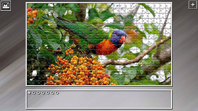 Super Jigsaw Puzzle: Generations - Parrots