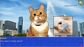 Cat President 2: Purrlitical Revolution