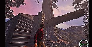 Among The Sierra Nevada