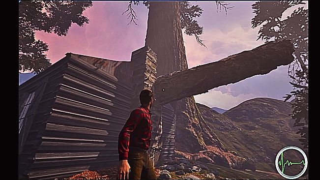 Among The Sierra Nevada