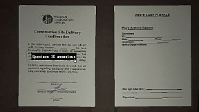 The Flower Inspector