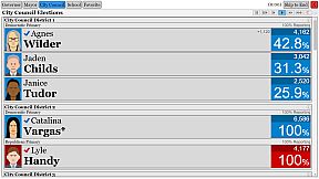 The Political Process