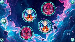 Space Memory: Butterflies