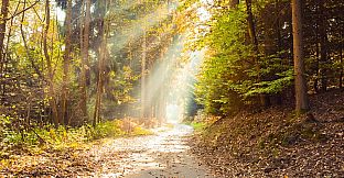 Pleasure Puzzle:Workshop - Part 3