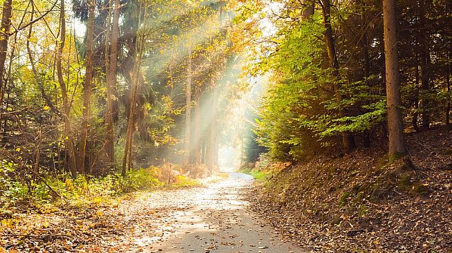 Pleasure Puzzle:Workshop - Part 3