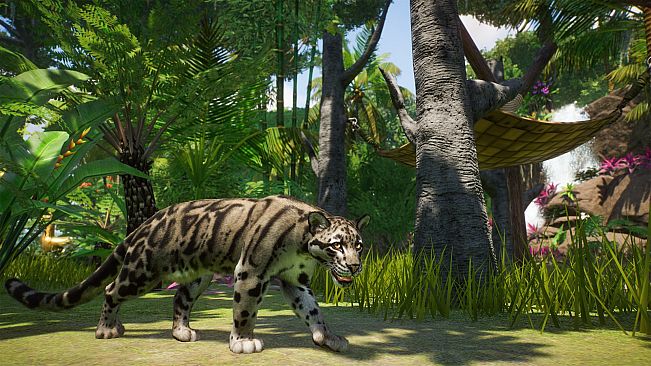 Planet Zoo: Deluxe Edition