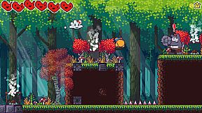 Chinchillas Attack Again