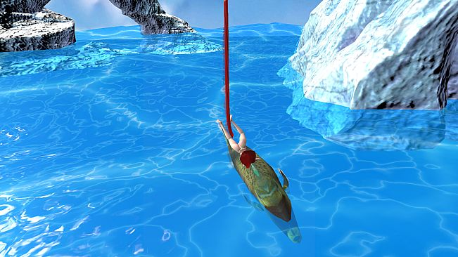 Bungee Fisher