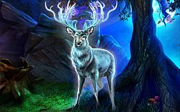 The Legacy: The Tree of Might Collector's Edition