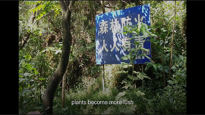 Dreaming in the mountains