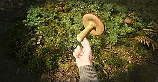 Mushroom Hunter Simulator