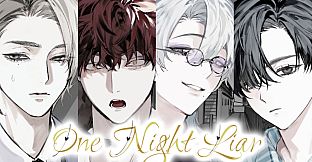 One Night Liar