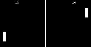 Endless Furry Ping-Pong