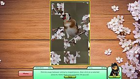 I Love Finding Birds