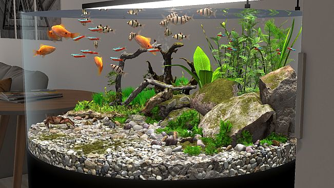 Behind Glass: Aquarium Simulator - Round Tank and Jellyfish Pack