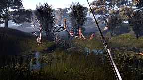 Professional Fishing