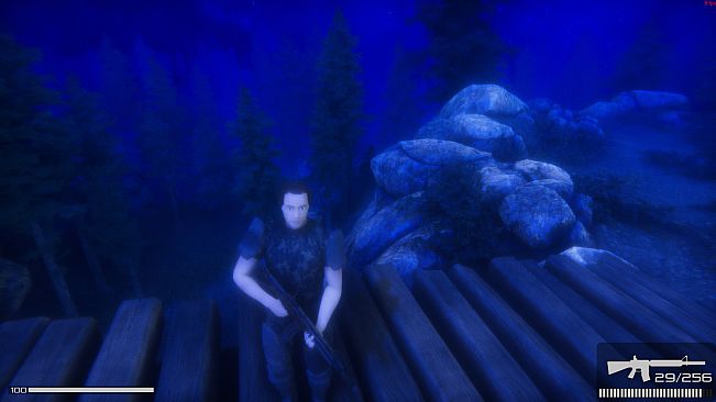 Infiltration: Alone in Combat