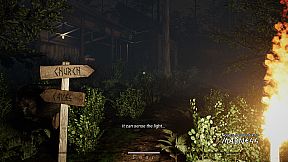 Noah's Descent into Madness