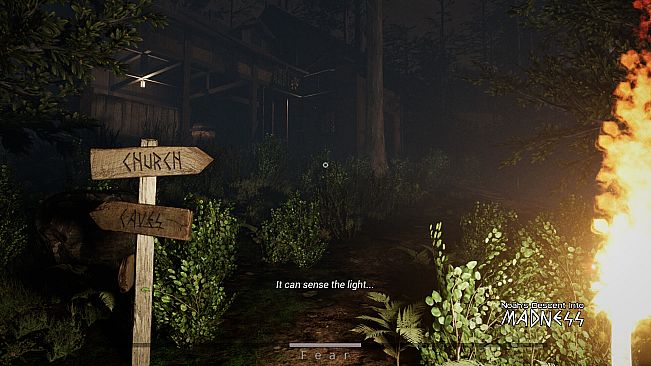 Noah's Descent into Madness