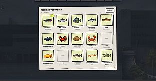 Desktop Halfpipe - Halfpipe Fishing
