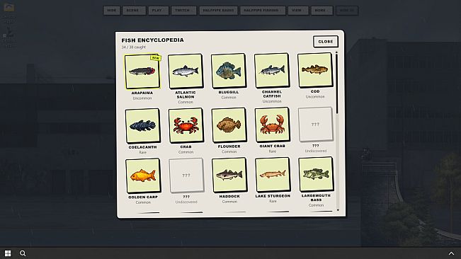 Desktop Halfpipe - Halfpipe Fishing