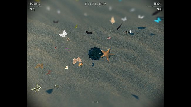 Fill The Void
