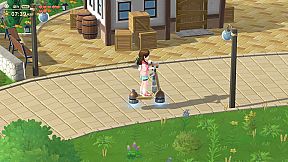 Harvest Moon: Home Sweet Home Special Edition