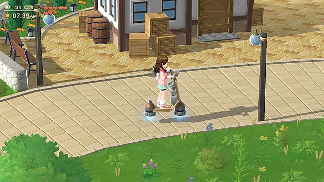 Harvest Moon: Home Sweet Home Special Edition