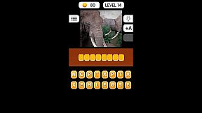 Photo Quiz - Animals