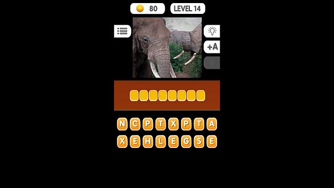 Photo Quiz - Animals