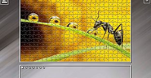 Super Jigsaw Puzzle: Generations - Bugs 2