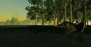 Turkey Hunting - The Season